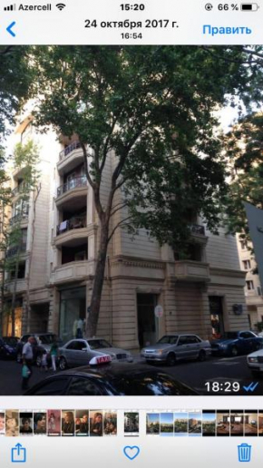 Apartment in the city centre